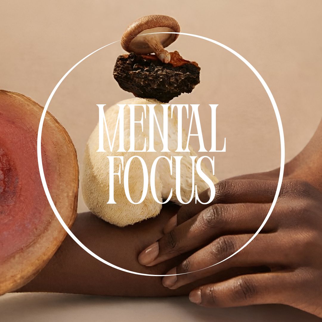 Multi-Mushroom Extract Blend