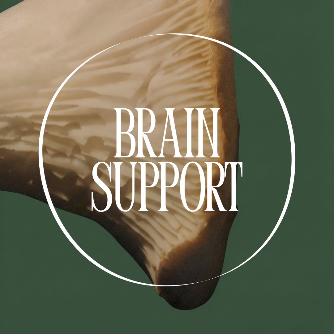 Lion’s Mane Brain Health Formula