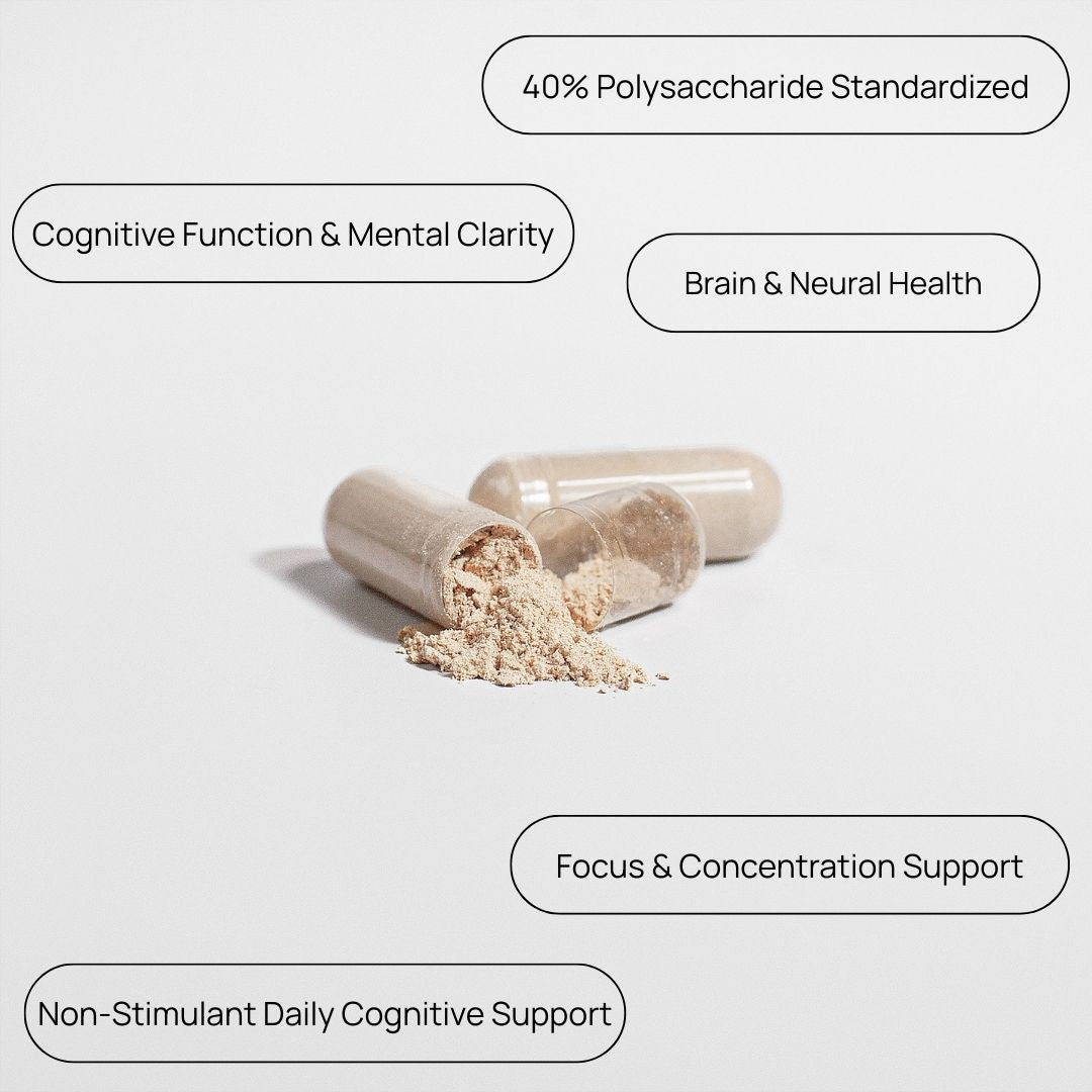 Lion’s Mane Brain Health Formula