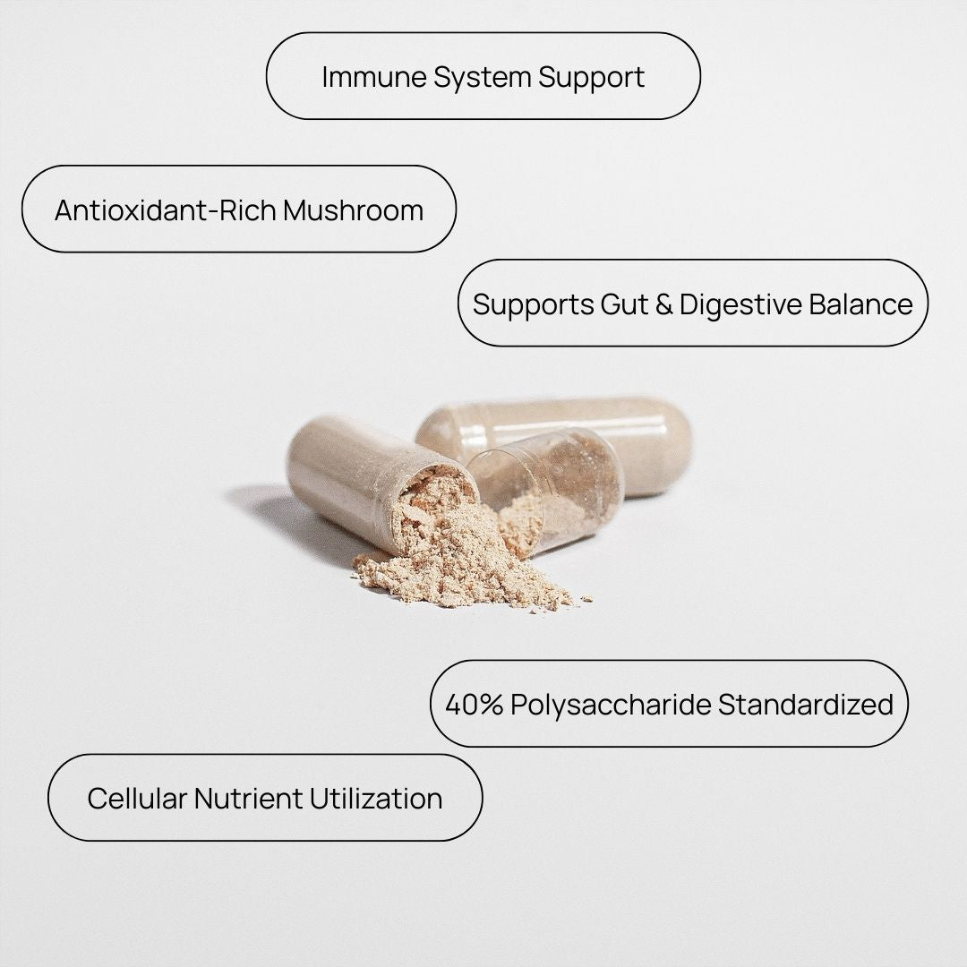Chaga Mushroom Cellular Support