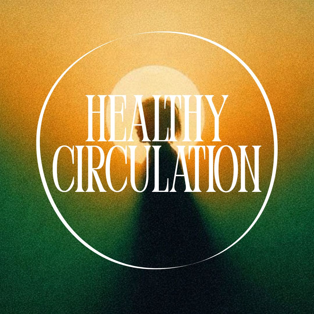 Ginkgo Biloba + Ginseng