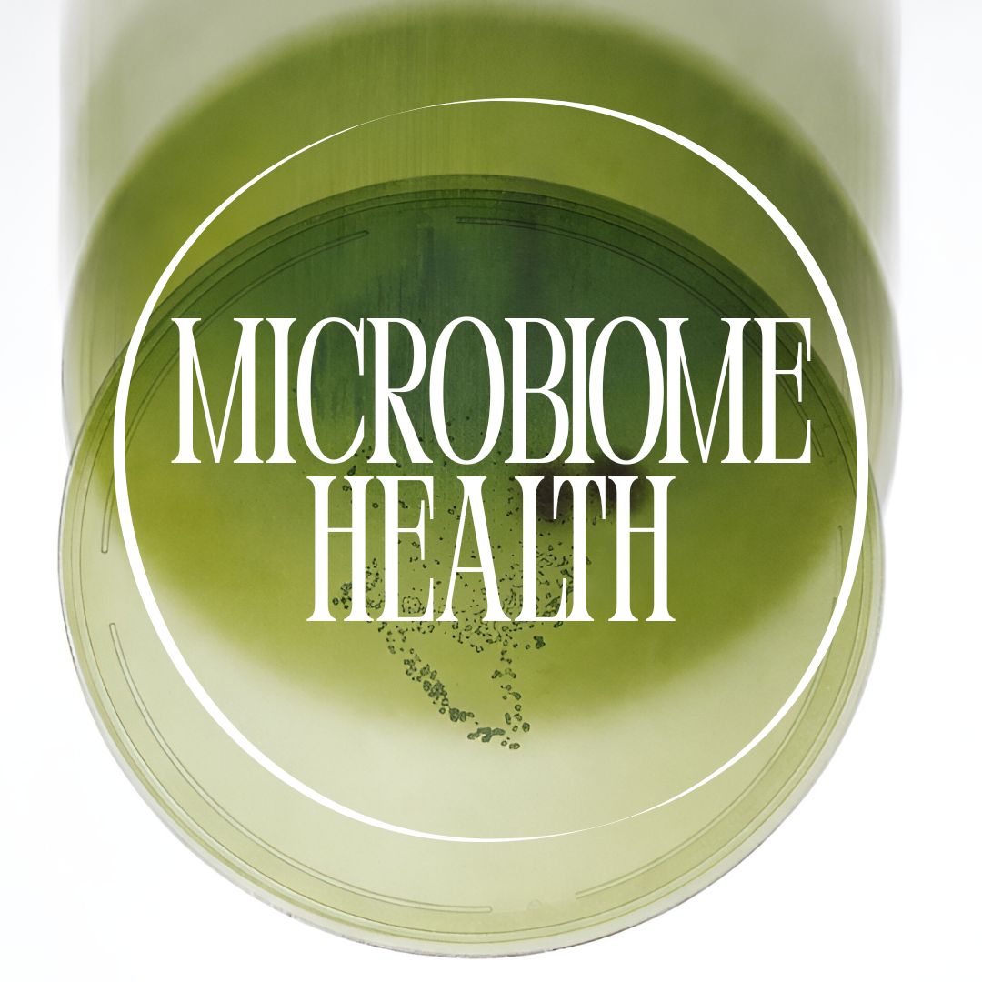 Probiotic Advanced Multi-Strain