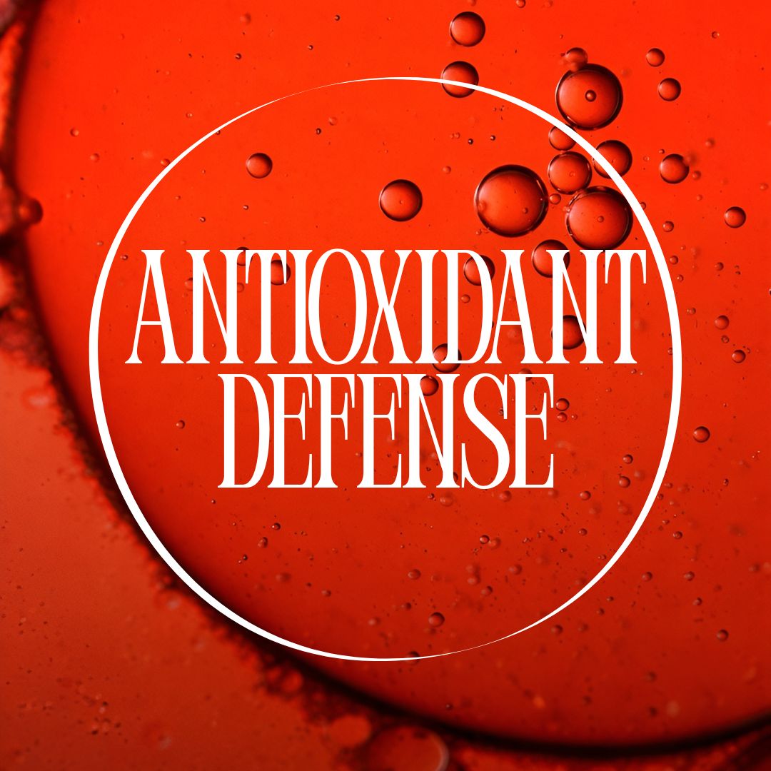 Resveratrol Antioxidant Formula