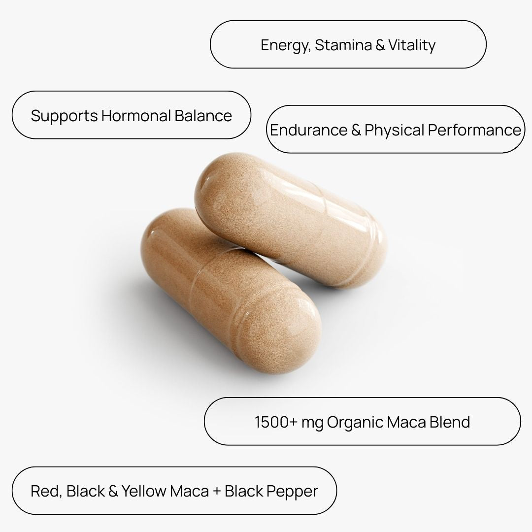 Maca Plus Performance + Energy