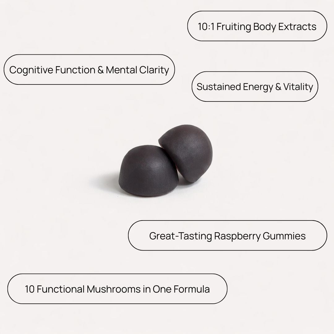 Multi-Mushroom Extract Blend